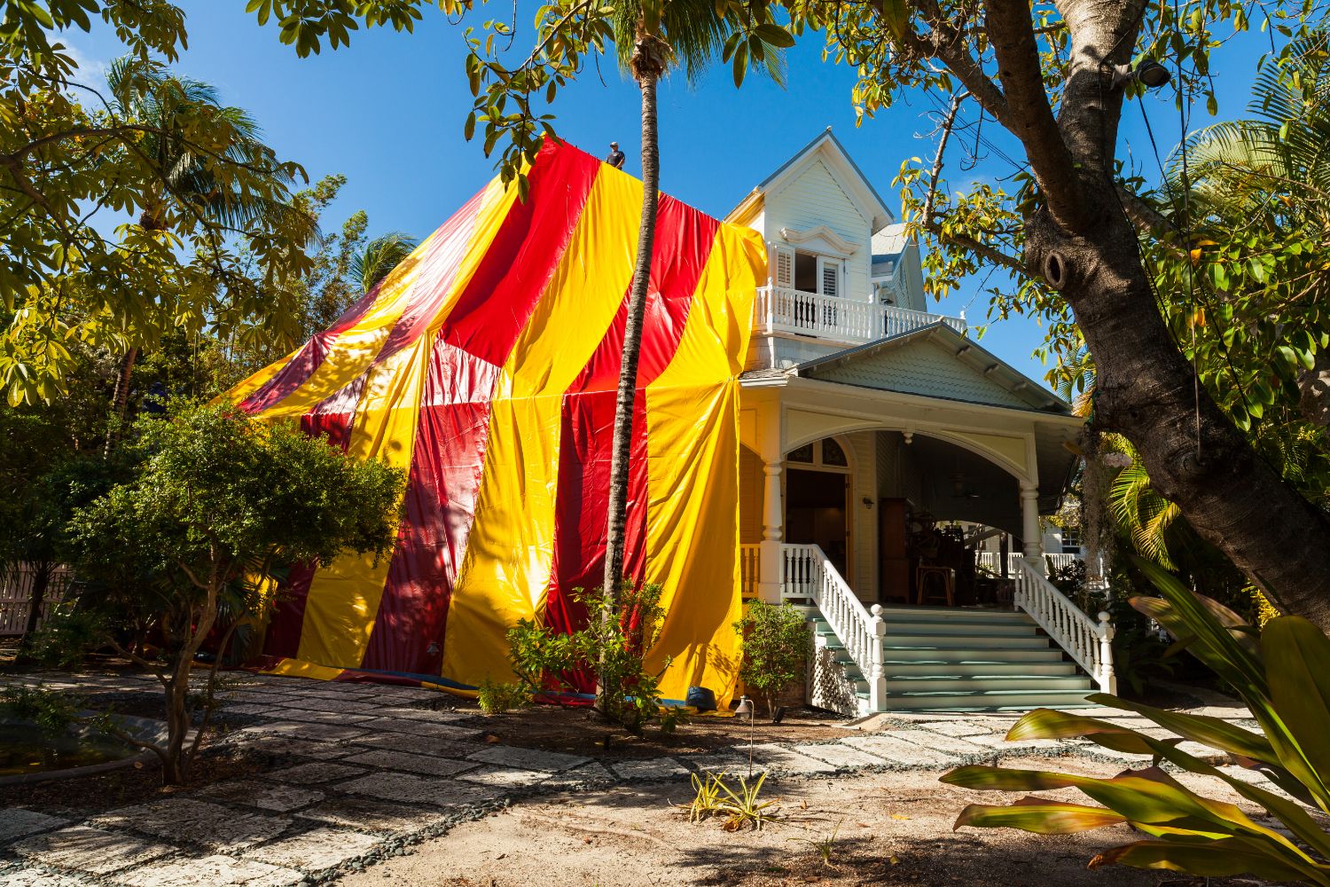 Home & Business Termite Fumigation Security